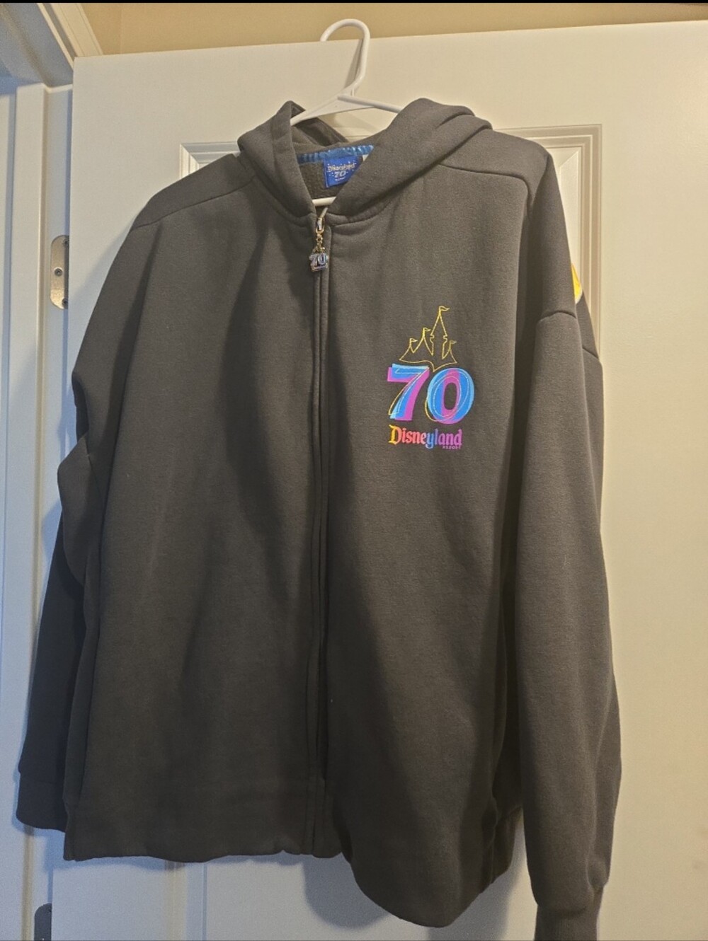 Disneyland 70th Anniversary Hoodie L